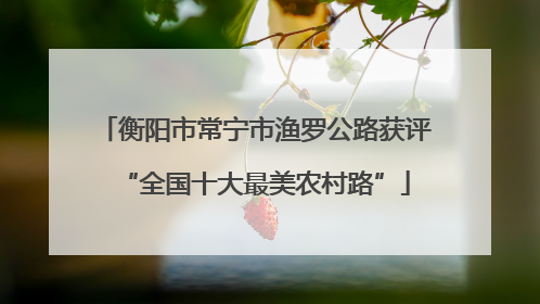衡阳市常宁市渔罗公路获评“全国十大最美农村路”