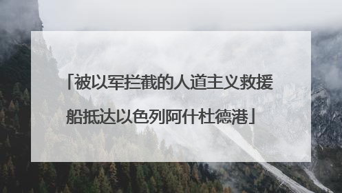 被以军拦截的人道主义救援船抵达以色列阿什杜德港