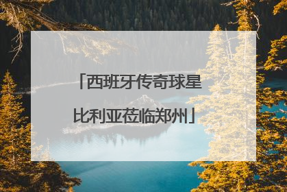 西班牙传奇球星 比利亚莅临郑州