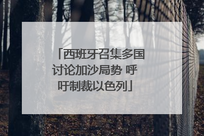 西班牙召集多国讨论加沙局势 呼吁制裁以色列