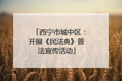 西宁市城中区：开展《民法典》普法宣传活动