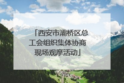 西安市灞桥区总工会组织集体协商现场观摩活动