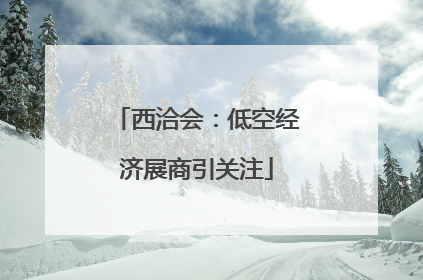 西洽会：低空经济展商引关注