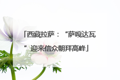 西藏拉萨：“萨嘎达瓦”迎来信众朝拜高峰