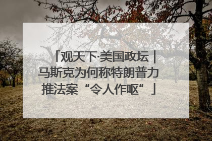观天下·美国政坛｜马斯克为何称特朗普力推法案“令人作呕”