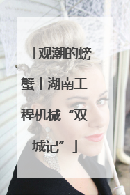 观潮的螃蟹丨湖南工程机械“双城记”