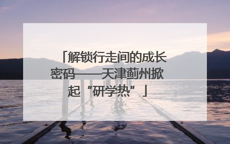 解锁行走间的成长密码——天津蓟州掀起“研学热”