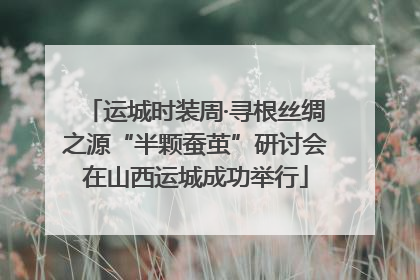 运城时装周·寻根丝绸之源“半颗蚕茧”研讨会在山西运城成功举行