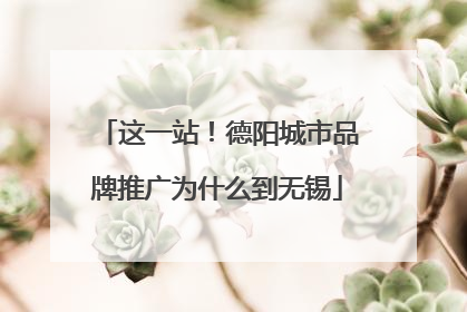 这一站！德阳城市品牌推广为什么到无锡