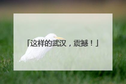 这样的武汉，震撼！