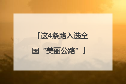 这4条路入选全国“美丽公路”