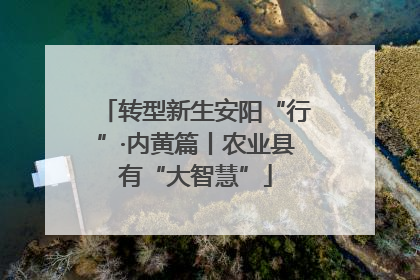 转型新生安阳“行”·内黄篇丨农业县有“大智慧”