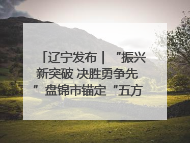 辽宁发布｜“振兴新突破 决胜勇争先”盘锦市锚定“五方面工作”力争全年地区生产总值增长5.5%左右
