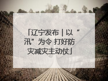 辽宁发布｜以“汛”为令 打好防灾减灾主动仗