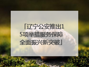 辽宁公安推出15项举措服务保障全面振兴新突破