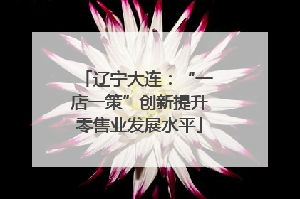 辽宁大连：“一店一策”创新提升零售业发展水平