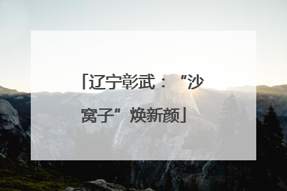 辽宁彰武：“沙窝子”焕新颜