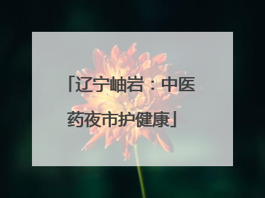 辽宁岫岩：中医药夜市护健康