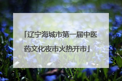 辽宁海城市第一届中医药文化夜市火热开市