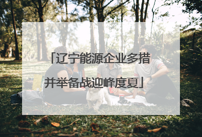 辽宁能源企业多措并举备战迎峰度夏