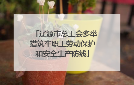 辽源市总工会多举措筑牢职工劳动保护和安全生产防线