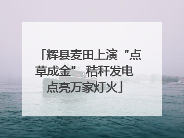 辉县麦田上演“点草成金” 秸秆发电点亮万家灯火