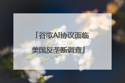 谷歌AI协议面临美国反垄断调查