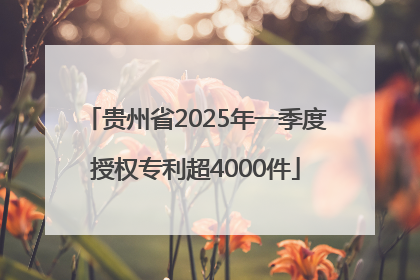 贵州省2025年一季度授权专利超4000件