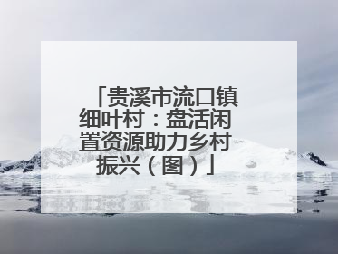 贵溪市流口镇细叶村：盘活闲置资源助力乡村振兴（图）