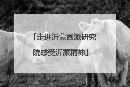 走进沂蒙画派研究院感受沂蒙精神