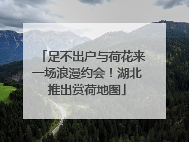 足不出户与荷花来一场浪漫约会！湖北推出赏荷地图