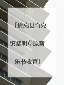 逊克县奇克镇黎明草原音乐节收官