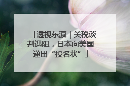 透视东瀛｜关税谈判遇阻，日本向美国递出“投名状”