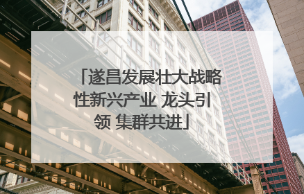 遂昌发展壮大战略性新兴产业 龙头引领 集群共进