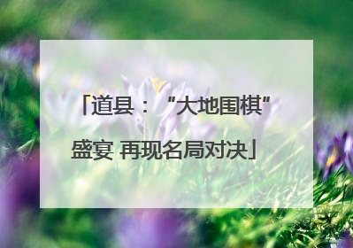 道县：“大地围棋”盛宴 再现名局对决