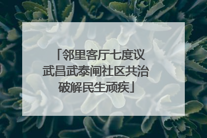 邻里客厅七度议 武昌武泰闸社区共治破解民生顽疾
