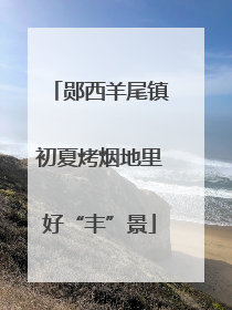 郧西羊尾镇初夏烤烟地里好“丰”景