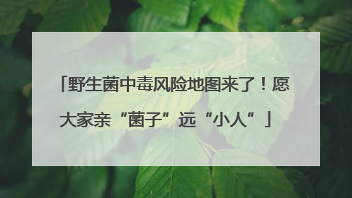 野生菌中毒风险地图来了！愿大家亲“菌子”远“小人”