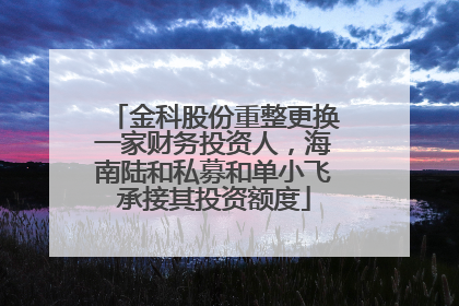金科股份重整更换一家财务投资人，海南陆和私募和单小飞承接其投资额度