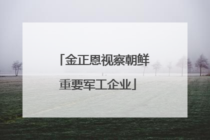 金正恩视察朝鲜重要军工企业