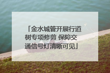 金水城管开展行道树专项修剪 保障交通信号灯清晰可见