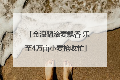 金浪翻滚麦飘香 乐至4万亩小麦抢收忙