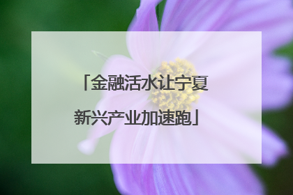 金融活水让宁夏新兴产业加速跑