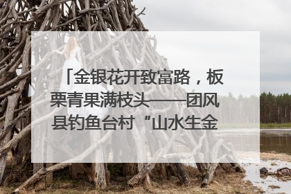 金银花开致富路，板栗青果满枝头——团风县钓鱼台村“山水生金”谱写共富新篇章