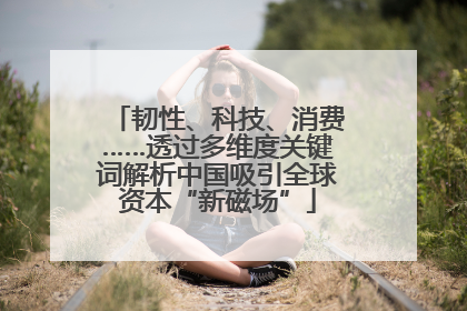 韧性、科技、消费……透过多维度关键词解析中国吸引全球资本“新磁场”