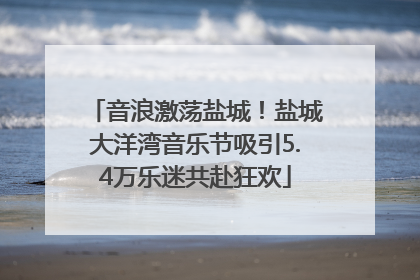 音浪激荡盐城！盐城大洋湾音乐节吸引5.4万乐迷共赴狂欢