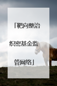 靶向整治织密基金监管网络