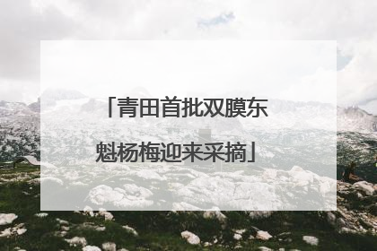 青田首批双膜东魁杨梅迎来采摘