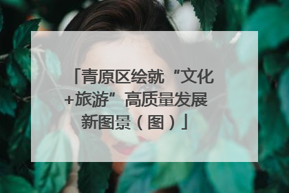 青原区绘就“文化+旅游”高质量发展新图景（图）