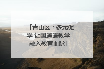 青山区：多元促学 让国通语教学融入教育血脉